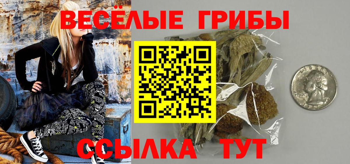 Галлюциногенные грибы GOLDEN TEACHER Дедовск