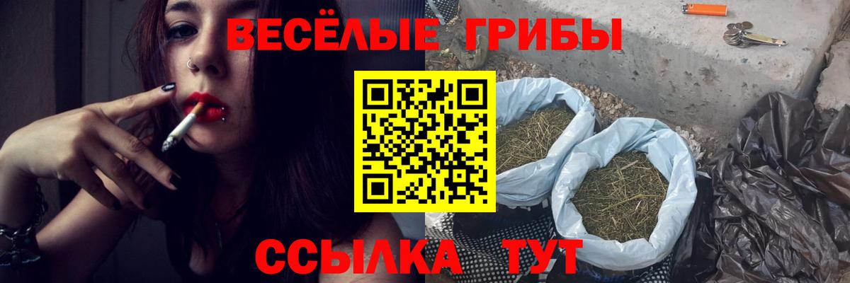 Дедовск  Галлюциногенные грибы GOLDEN TEACHER  Галлюциногенные грибы Psilocybine cubensis  Вход с VPN 